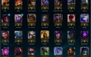 Vender Conta Platina 5