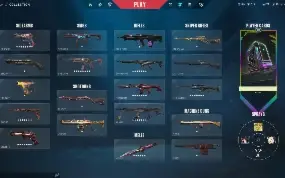 Conta Valorant Imortal +Skins! Champions, Etc!