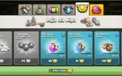 Cv11 recente