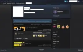 Conta Steam CS:GO 15 Anos Steam lvl28