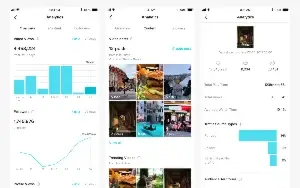 Seu Tiktok Com Muitos Viwers E Compartilhamentos Ilimitado