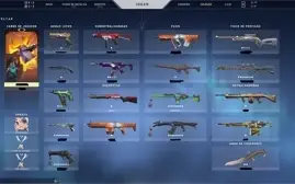 Conta Valorant Ascendente 2 + muitas skins