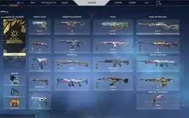 conta valorant skin champions e outras