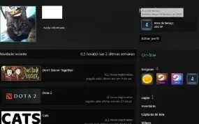 Conta Antiga Steam 15 Anos  Sem Cs E Medalhas