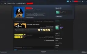 CSGO 16 ANOS STEAM - MEDALHA 5 E 10 ANOS CSGO - PRIME