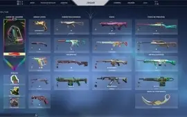 CONTA VALORANT + SKINS + PLATINA 2