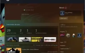 Conta Steam + 4 anos de serviços e 29 jogos