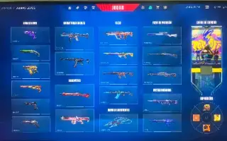 CONTA DE VALORANT - AS MELHORES SKINS DA RANKED+5000 GASTOS