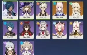 Kokomi ar20 + 500 gemas