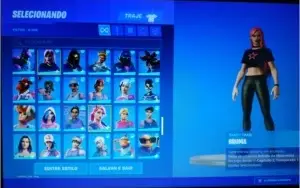 Conta fortnite Pc, Wonder, Minty, Borderlands +165 skins