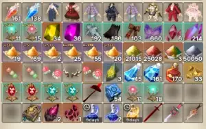 Tree of Savior Conta 510 Classe Desperado Premium