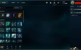 CONTA LEVEL 30 COM VARIAS SKINS