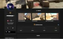 conta steam level 33 cs2 level 20 gamersclub