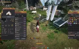 Conta Black Desert 715Gs T10 Pegasus NAO STEAM