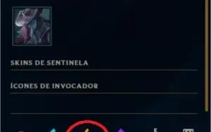 CONTA PLATINA V - FULL SKIN