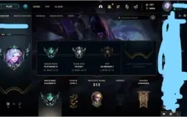 Conta platina