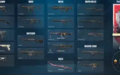 FA 3 Skins e faca + 2.575 VP
