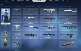 Conta Valorant com Skins de Pacote Ancifogo,Sublime e Oni