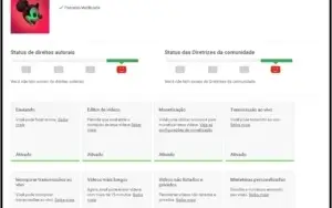 Canal Youtube 1700 Inscritos Monetizado