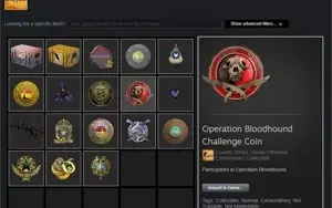 Conta csgo 13 medalhas lvl 111