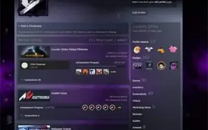 Conta csgo 13 medalhas lvl 111