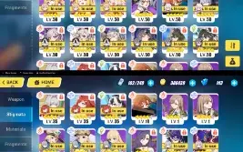 HonKai Impact