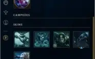Conta League Of Legends 143 Skins Borda Gold