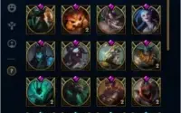 Conta League Of Legends 143 Skins Borda Gold