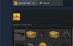 Conta CSGO - Prime