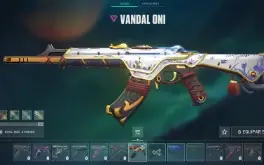 conta valorant lvl 165