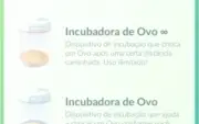 CONTA POKÉMON LVL 26