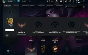 Unranked lv 20 com 25 Champs e 2 Skins + 3 Espolios