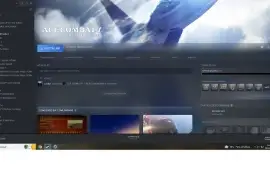 conta top steam lvl 55