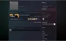 CONTA CS GO - LVL 18 GC