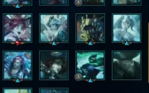 Conta Mestre Solo Duo Main Nunu Padrão Enjoy