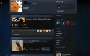 Conta steam com cs go, raibow six siege, pay day 2.