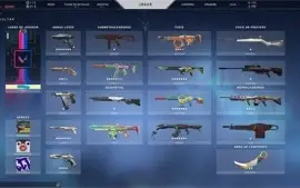 Conta Valorant beta com 2300 gastos