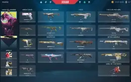 Conta de Valorant com várias skins - Rank máximo imortal