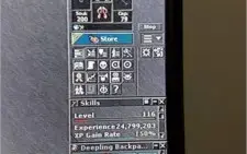 DRUID LVL 86 EM TALERA + DRUID LVL 116 EM ZUNERA(HARD PVP)