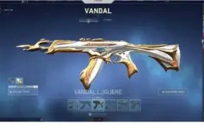 Conta VALORANT (1115 reais em skins!)