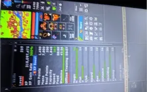 VENDO MS 269 EM GENTEBRA 32 DIAS DE PREMIUM