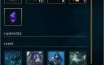 Conta LVL 30