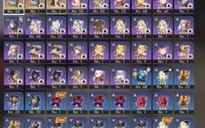 Dan Heng IL+ 2 cone assinatura + Silver Wolf + Welt E1