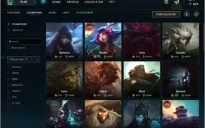 League of legends, 88 Skins, GOLD II, lvl 106