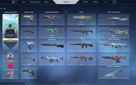 CONTA VALORANT PRATA 1 COM SKINS