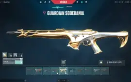 Conta Valorant + De 3000 Reais Gastos
