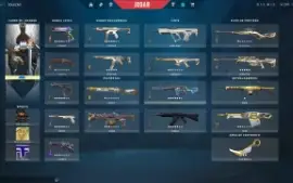 Conta Valorant + De 3000 Reais Gastos