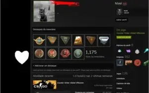 CONTA RARA !!! | 26 MEDALHAS | LVL 111 STEAM | EMAIL NATIVO