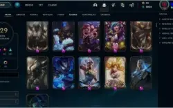 Conta RIOT - LoL / Platina 2 / 529 skins  + Valorant (Skins)