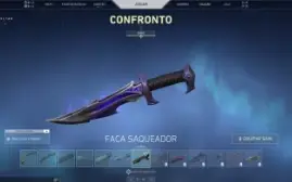Conta desde o beta +800 reais gastos